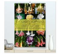 Brugmansia & Datura - Exotische Schönheiten (hochwertiger Premium Wandkalender 2026 DIN A2 hoch), Kunstdruck in Hochglanz: Brugmansia & Datura - Exotische Kübelpflanzen Schönheiten im Protrait