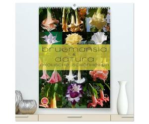 Brugmansia & Datura - Exotische Schönheiten (hochwertiger Premium Wandkalender 2026 DIN A2 hoch), Kunstdruck in Hochglanz: Brugmansia & Datura - Exotische Kübelpflanzen Schönheiten im Protrait