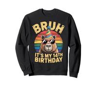 Bruh, C'est Mon 14e Anniversaire, Cappy Birthday, Capybara Sweatshirt