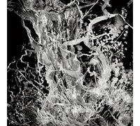 Bruit – Monolith EP – CD Digisleeve