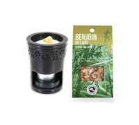 Brûle-parfum en pierre noire + Benjoin du Laos à brûler - Les Encens du Monde Noir G