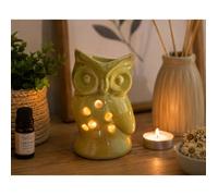 Brûleur à huile - EDEN - Hibou - Céramique vert - Lumière tamisée - À poser