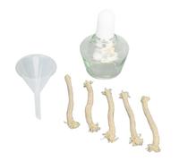 Brûleur de Lampe à Alcool en Verre de 150 ML, Bouteille Chauffante de Laboratoire, Idéal pour Les Projets Scientifiques, Outil éducatif, Accessoires Inclus pour Un Remplissage
