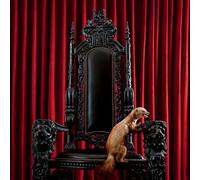 Brume - Marten (Hardcover Book)