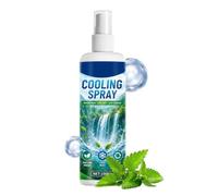 Brume Rafraîchissante 100 ml Liquide Anti-Chaleur
