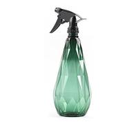 Brumisateur pour plantes - Pulvérisateur d'eau pour fleurs, nettoyage des plantes, jardinage, solutions