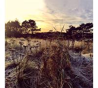 Brun,Ane - Leave Me Breathless [Import]