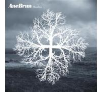 Brun,Ane - Sketches