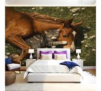 Brun Papier Panoramique Mural Animaux chats et chevaux Papier Peint Intissé Poster Tableaux Muraux Tapisserie Photo pour Salon Canapé TV Fond Décoration Murale 350 x 256 cm