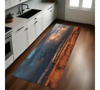 Brun Tapis de Cuisine prairies de Train à Vapeur Tapis de Couloir Devant Évier Antidérapant Absorbant Lavable Salon Salle de Bain Entrée 50 x 80 cm