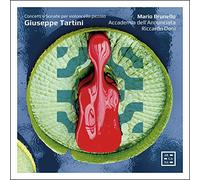 Concerti E Sonate per Violoncello Piccolo