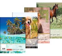 Baier schneider bloc &210 x 297 mm a4 100 g/m ² - 20 feuilles de papier à lettre animaux