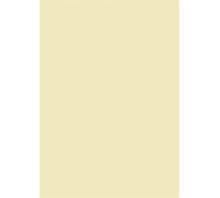 Papier universel chamois DIN A4 160g