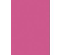 BRUNNEN 105125026 Papier multifonctionnel Papier universel A4 fuchsia