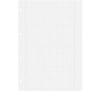 Brunnen 1066948 Lot de 100 feuilles de classeur à anneaux A4 (quadrillées avec marges, linéature 28, 70 g/m²), blanc