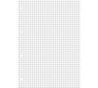 Brunnen Cahier scolaire A4 linéature 7, quadrillé, grandes cases, 50 feuilles, Premium
