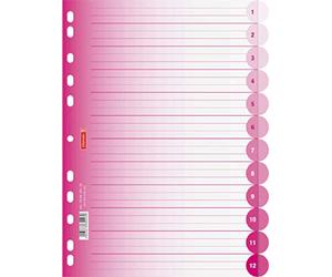 Brunnen Colour Code Séparateur pour classeur à spirales Format A4 12 onglets rose bonbon