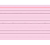 BRUNNEN Fiche 102250120 DIN A5 ligné rt 100 pcs/paquet