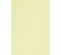 Brunnen Lot de 100 fiches lignées en papier cartonné 180 g/m² Jaune Format A5 Format paysage