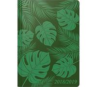 Brunnen Schülerkalender 2018/2019 Tropen, grün: 2 Seiten = 1 Woche (A5)