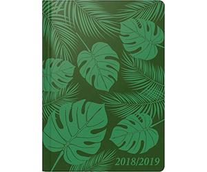 Brunnen Schülerkalender 2018/2019 Tropen, grün: 2 Seiten = 1 Woche (A5)