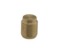 Brunner Bouchons d'obturation Inclus pour tuyauterie de gaz 310/949-1