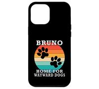 Bruno Home for Wayward Dogs Nom de Famille Coque pour iPhone 12 Pro Max