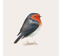 Brunori Sas - Cip [Import]