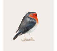 Brunori Sas - Cip [Import]