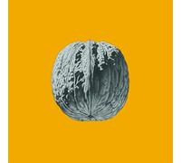 Brunori Sas - L'Albero Delle Noci-Deluxe Colored LP [Vinyl] [Import]