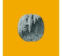 Brunori Sas – L'Albero Delle Noci – Vinyle Deluxe coloré – Import