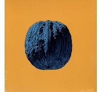 BRUNORI SAS - L'Arbre Des Noix (2025) CD