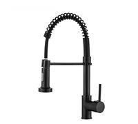 Brushed Gold Pull Out Kitchen Faucets Brass Sink Faucets Brass Sink Tap Rotating Spout Mixers Tap Hot Cold Water Crane(Black)