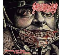 Brutality Brutality – Demo 2003 (And Bonus Tracks) – CD – The Orchard