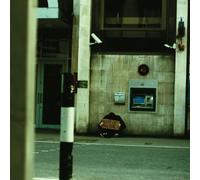 Brutality Will Prevail - Root of All Evil [Import]