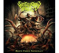 Brute Force Supremacy