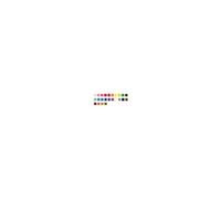 Crayons De Couleur - Beaux-Arts - Coffret Bois De 24 Couleurs - Bruynzeel