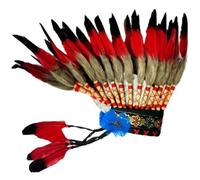 Brxmpn Coiffe Indienne À Plumes, Coiffe Amérindienne, Coiffe Ethnique pour Carnaval, Cosplay, Soirée Déguisée, Accessoires pour