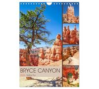 BRYCE CANYON Natur Pur (Wandkalender 2026 DIN A4 hoch), CALVENDO Monatskalender: Idylle im Südwesten der USA