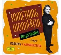 Bryn Terfel - Bryn Terfel - Something Wonderful (Bryn Terfel sings Rodgers & Hammerstein) by Bryn Terfel (1996) Audio CD