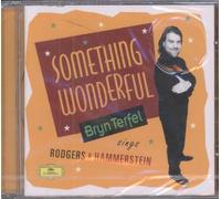 Something Wonderful : Bryn Terfel Sings Rodgers & Hammerstein English Northern Philh.