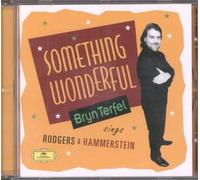 Something Wonderful : Bryn Terfel Sings Rodgers & Hammerstein English Northern Philh.