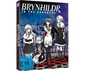 Brynhildr in the Darkness - Gesamtausgabe