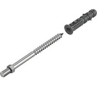 BRYZA Vis à tête cylindrique 250 mm avec cheville