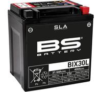 BS battery 300631 bix30l AGM SLA Moto Batterie Noir