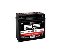 BS-Battery Batterie SLA12-20 au plomb scellée claire