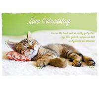 bsb 591025-2 Carte d'anniversaire Motif chat Vert clair