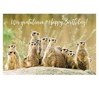 bsb - Carte de vœux d'anniversaire 11,5 x 17,0 cm - Carte d'anniversaire de qualité supérieure avec enveloppe - Belles cartes d'anniversaire pour enfants/femmes et hommes - Carte Happy Birthday avec