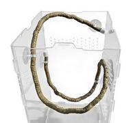 Bsbkoj Bendable Jungle Creeper, Lizard Climbing Vine, Tank Accessory with Realistic Feature, Textured Synthetic Material, Versatile Twig with Sturdy Build, Enclosure Decor for Home and Habitat