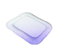 Bsbkoj Tapis de refroidissement pour chien, tapis de couchage en soie glacée pour animaux domestiques, tapis de dispersion de la chaleur, tapis pour cages, sols, canapés, utilisation intérieure et